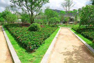 土壤改良技術在園林綠化工程施工中的實際運用