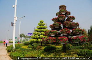 園林綠化工程中的核心要素 從設(shè)計圖紙到實景呈現(xiàn)的完整解析