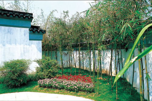 蔚森園林 打造嘉定綠植租賃與園林綠化工程施工的一站式綠色解決方案