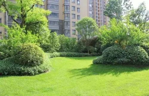 園林綠化工程中的核心技術(shù) 地被植物放線手法的精準運用