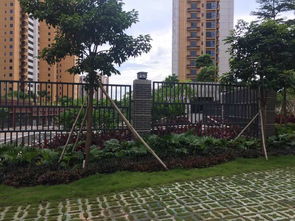 深圳羊臺苑小區(qū)綠化工程 構建都市生態(tài)人居典范